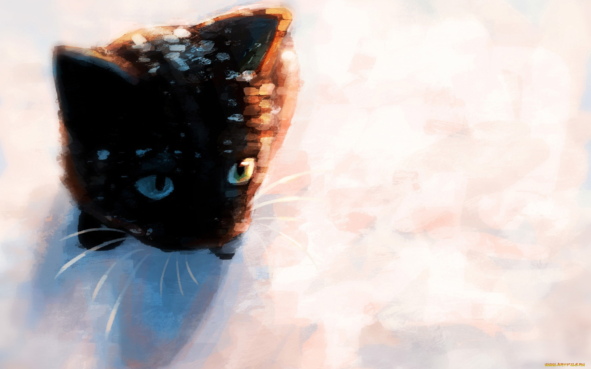 , ,  , , by, meorow, 